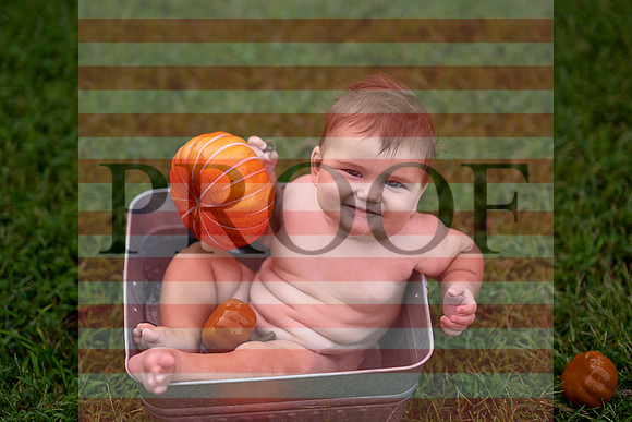 Kansas City Milestone Photographer | Osawatomie Studio Photo Session