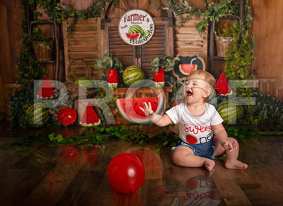 Kansas City Watermelon Cake Smash Photographer | First Birthday Portraits