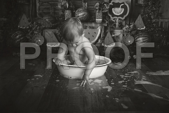 Kansas City Watermelon Cake Smash Photographer | First Birthday Portraits