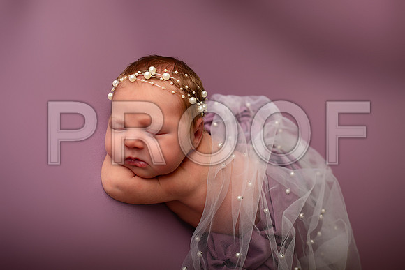Kansas City Newborn Photographer | Award-Winning Baby Portraits