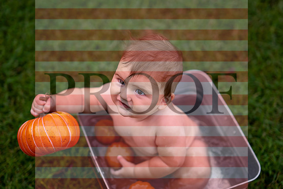 Kansas City Milestone Photographer | Osawatomie Studio Photo Session