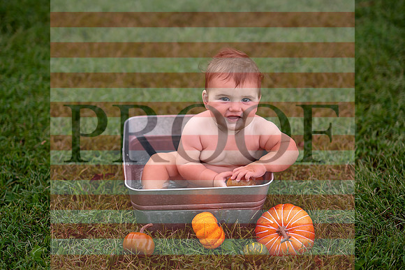 Kansas City Milestone Photographer | Osawatomie Studio Photo Session