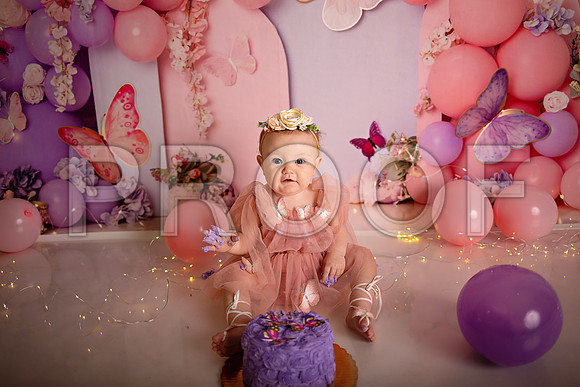 Kansas City Cake Smash Photographer | Butterfly Theme Portraits | Heather Sears Photography