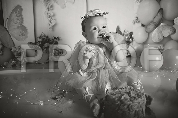Kansas City Cake Smash Photographer | Butterfly Theme Portraits | Heather Sears Photography