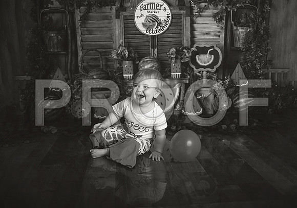 Kansas City Watermelon Cake Smash Photographer | First Birthday Portraits