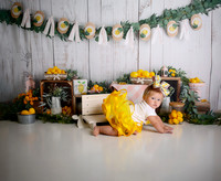 Kansas City Lemon-Themed Cake Smash Photography | Heather Sears Photography