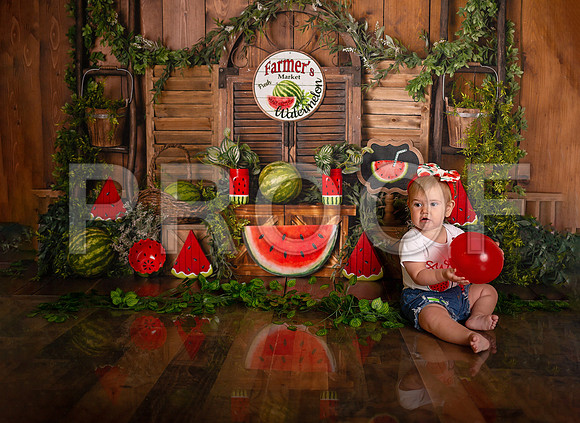 Kansas City Watermelon Cake Smash Photographer | First Birthday Portraits