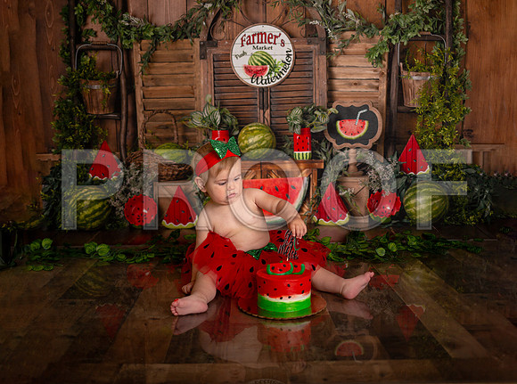 Kansas City Watermelon Cake Smash Photographer | First Birthday Portraits
