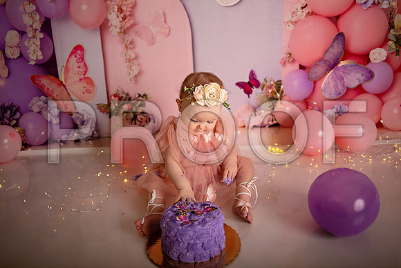 Kansas City Cake Smash Photographer | Butterfly Theme Portraits | Heather Sears Photography