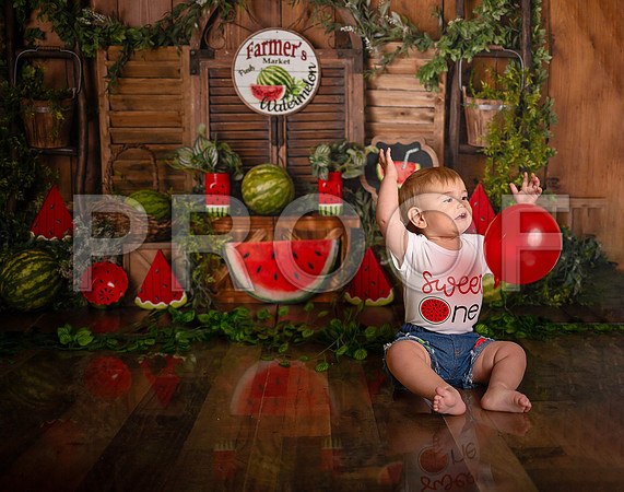 Kansas City Watermelon Cake Smash Photographer | First Birthday Portraits
