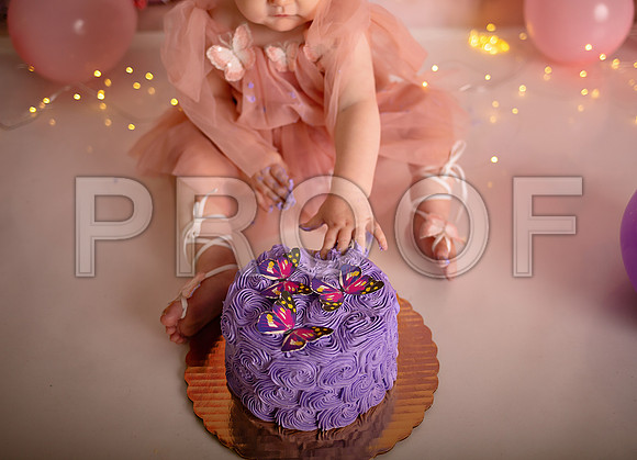 Kansas City Cake Smash Photographer | Butterfly Theme Portraits | Heather Sears Photography