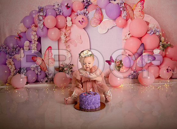 Kansas City Cake Smash Photographer | Butterfly Theme Portraits | Heather Sears Photography