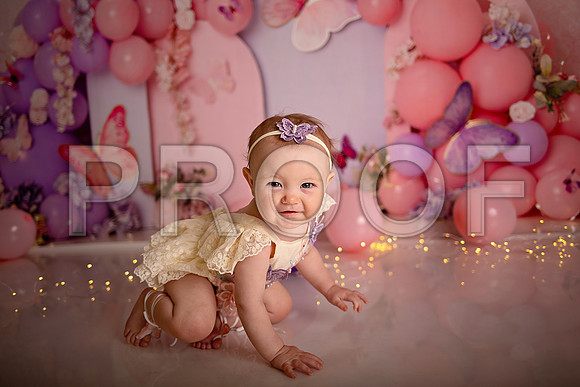 Kansas City Cake Smash Photographer | Butterfly Theme Portraits | Heather Sears Photography