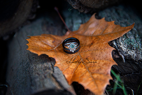 Heather Sears Photography | Timeless Luxury Wedding & Portrait Photography for Kansas City Couples