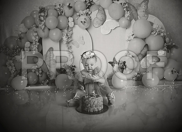 Kansas City Cake Smash Photographer | Butterfly Theme Portraits | Heather Sears Photography