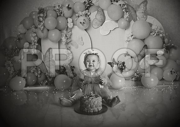 Kansas City Cake Smash Photographer | Butterfly Theme Portraits | Heather Sears Photography