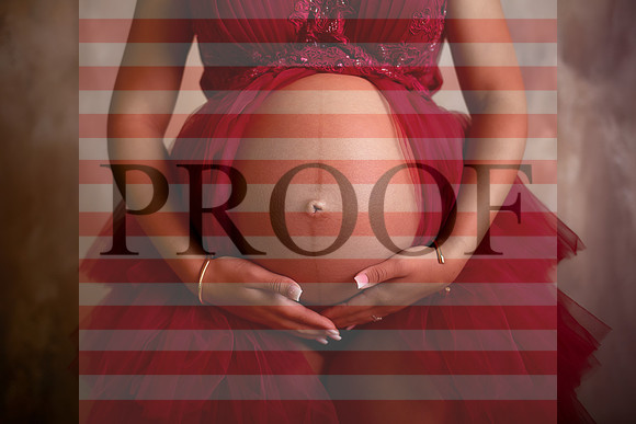 Kansas City Fine Art Studio Maternity Photography | Paola & Osawatomie Studio