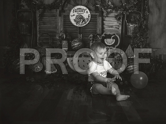 Kansas City Watermelon Cake Smash Photographer | First Birthday Portraits