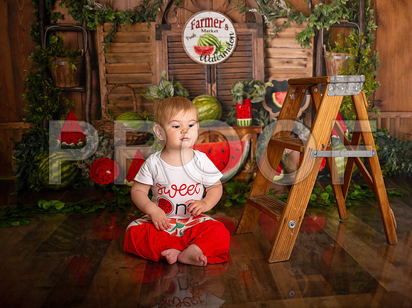 Kansas City Watermelon Cake Smash Photographer | First Birthday Portraits
