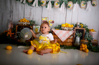 Kansas City Lemon-Themed Cake Smash Photography | Heather Sears Photography