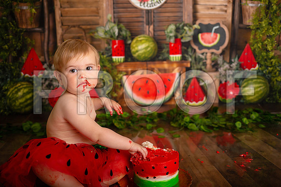Kansas City Watermelon Cake Smash Photographer | First Birthday Portraits
