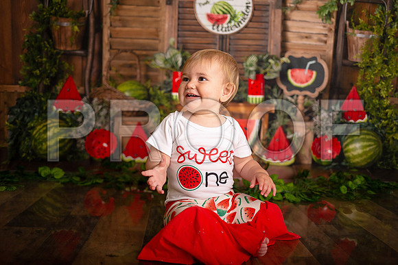 Kansas City Watermelon Cake Smash Photographer | First Birthday Portraits