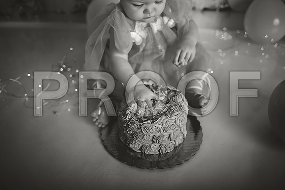 Kansas City Cake Smash Photographer | Butterfly Theme Portraits | Heather Sears Photography
