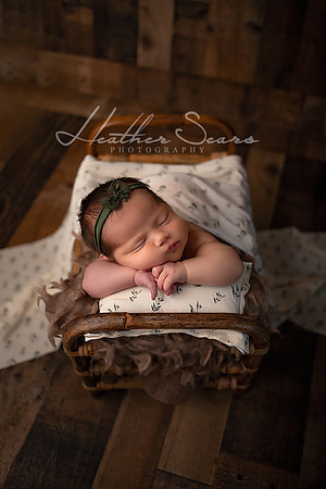 Kansas City Newborn Photographer | Award-Winning Baby Portraits