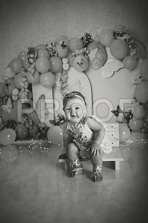 Kansas City Cake Smash Photographer | Butterfly Theme Portraits | Heather Sears Photography