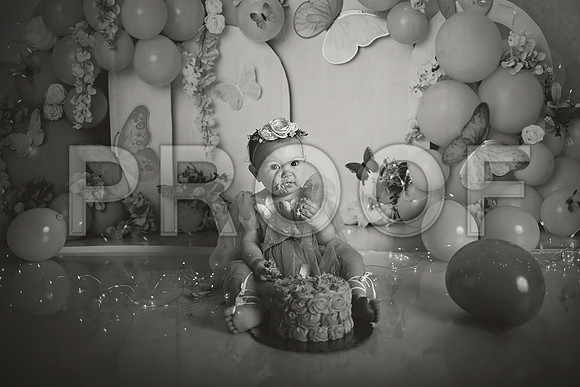 Kansas City Cake Smash Photographer | Butterfly Theme Portraits | Heather Sears Photography