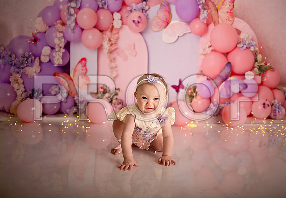 Kansas City Cake Smash Photographer | Butterfly Theme Portraits | Heather Sears Photography
