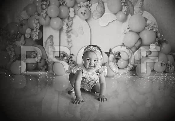 Kansas City Cake Smash Photographer | Butterfly Theme Portraits | Heather Sears Photography