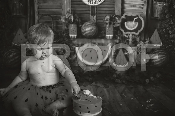 Kansas City Watermelon Cake Smash Photographer | First Birthday Portraits