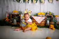Kansas City Lemon-Themed Cake Smash Photography | Heather Sears Photography