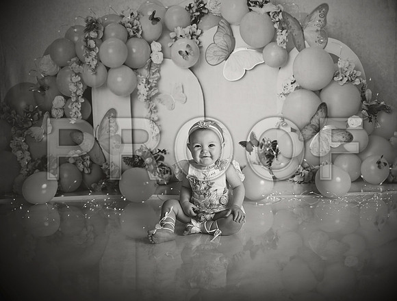 Kansas City Cake Smash Photographer | Butterfly Theme Portraits | Heather Sears Photography