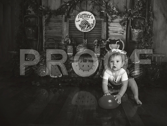 Kansas City Watermelon Cake Smash Photographer | First Birthday Portraits
