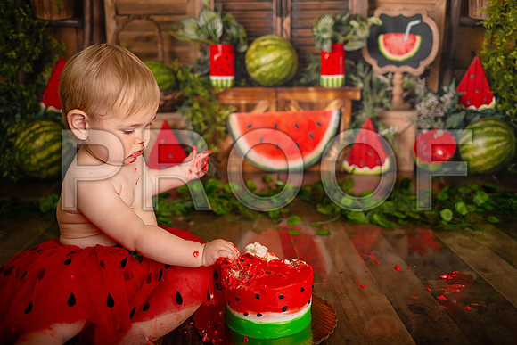 Kansas City Watermelon Cake Smash Photographer | First Birthday Portraits