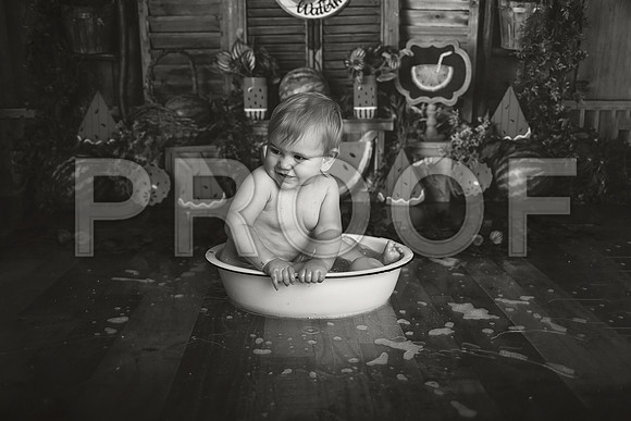 Kansas City Watermelon Cake Smash Photographer | First Birthday Portraits