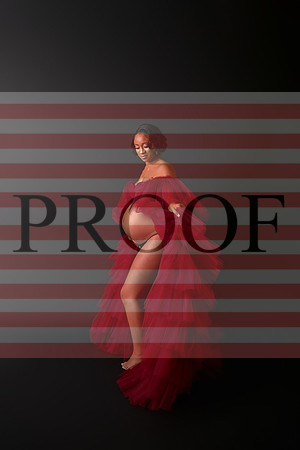 Kansas City Fine Art Studio Maternity Photography | Paola & Osawatomie Studio
