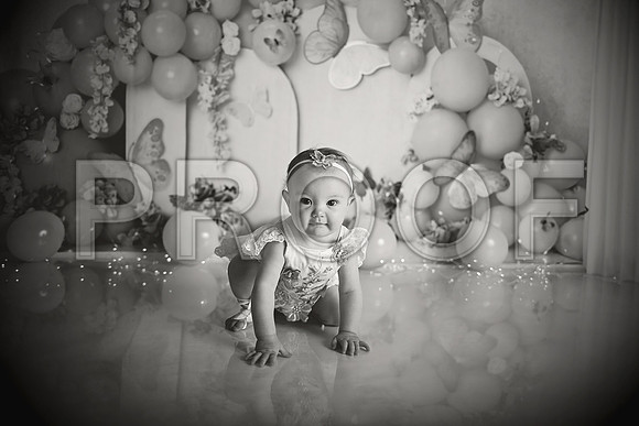 Kansas City Cake Smash Photographer | Butterfly Theme Portraits | Heather Sears Photography