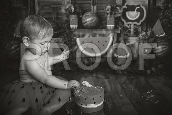 Kansas City Watermelon Cake Smash Photographer | First Birthday Portraits