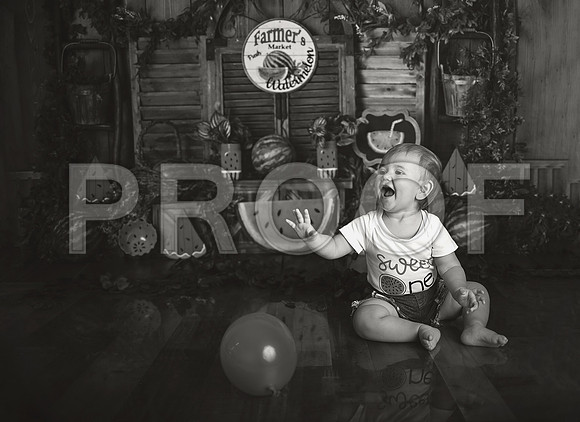 Kansas City Watermelon Cake Smash Photographer | First Birthday Portraits