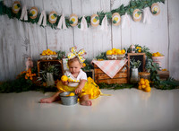 Kansas City Lemon-Themed Cake Smash Photography | Heather Sears Photography