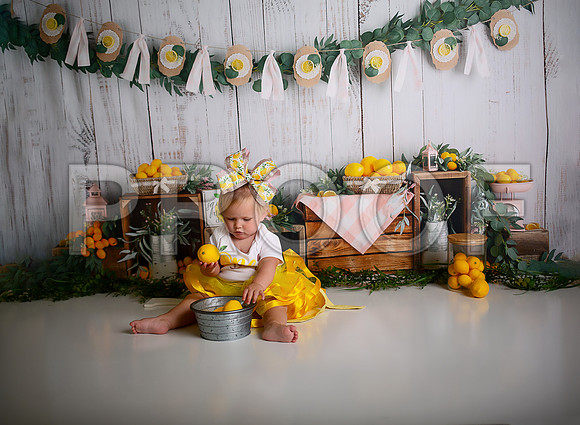 Kansas City Lemon-Themed Cake Smash Photography | Heather Sears Photography