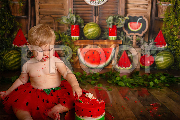 Kansas City Watermelon Cake Smash Photographer | First Birthday Portraits