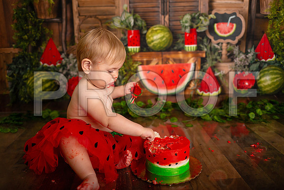 Kansas City Watermelon Cake Smash Photographer | First Birthday Portraits