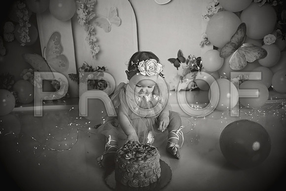 Kansas City Cake Smash Photographer | Butterfly Theme Portraits | Heather Sears Photography