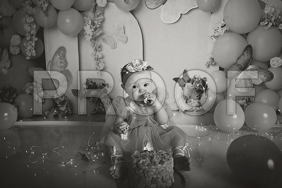 Kansas City Cake Smash Photographer | Butterfly Theme Portraits | Heather Sears Photography