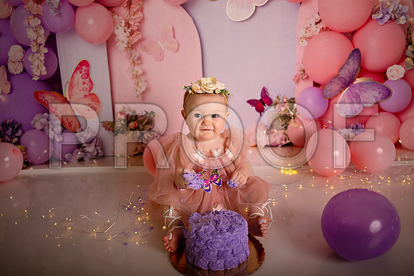 Kansas City Cake Smash Photographer | Butterfly Theme Portraits | Heather Sears Photography