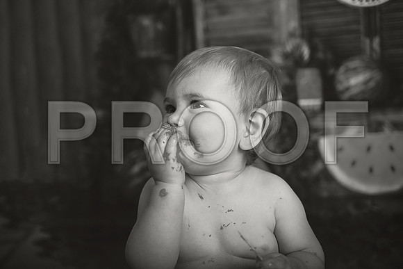 Kansas City Watermelon Cake Smash Photographer | First Birthday Portraits